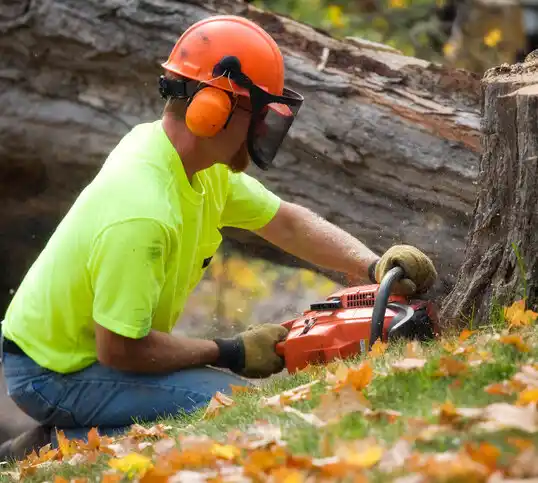 tree services Grand Isle